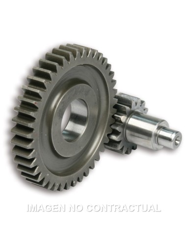 DESARROLLO SECUNDARIO MOTOR MINARELLI 50