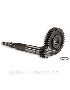 DESARROLLO PRIMARIO LARGO GILERA RUNNER