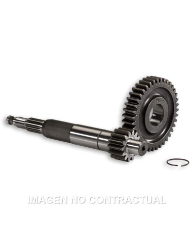 DESARROLLO PRIMARIO LARGO GILERA RUNNER