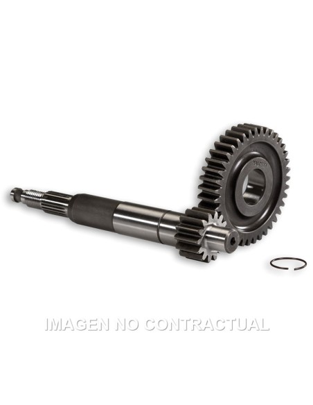 DESARROLLO PRIMARIO LARGO GILERA RUNNER