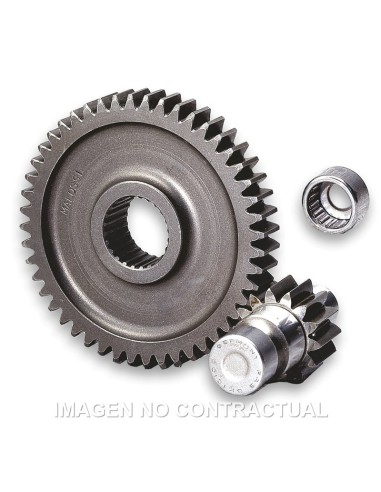 DESARROLLO SECUNDARIO CON JAULA RUNNER 50,SFERA 50