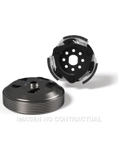 MAXI DELTA SYSTEM MALOSSI PIAGGIO MEDLEY