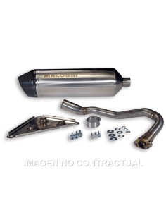 ESCAPE MALOSSI RX HONDA PCX 125