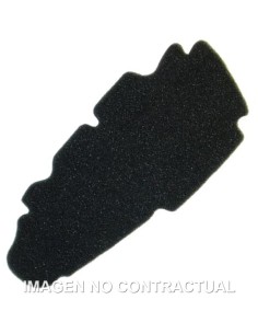 FILTRO AIRE SGR PEUGEOT LOOXOR 125