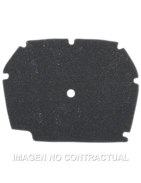 FILTRO AIRE BENELLI 750 S 19/20