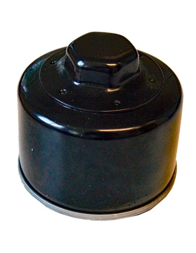 FILTRO ACEITE SGR BMW R 1200