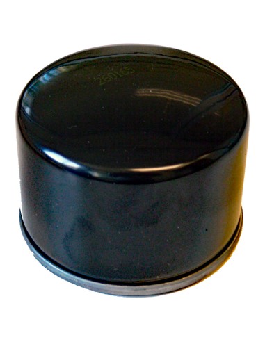 FILTRO ACEITE SGR BMW F 800