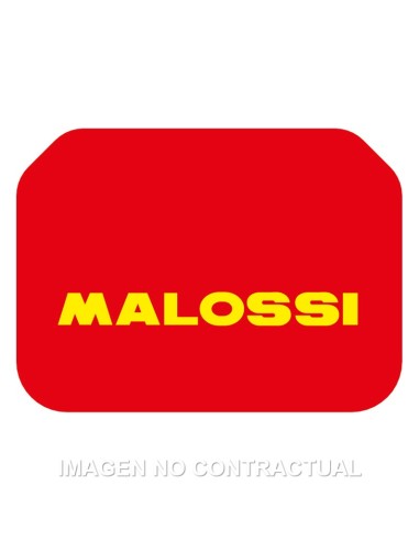 FILTRO AIRE ADAPTABLE MALOSSI SUZUKI BURGMAN 400