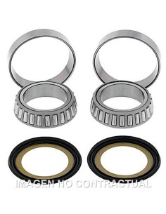 KIT DE RODAMIENTOS Y RETENES COLUMNA DE DIRECCION ALL BALLS