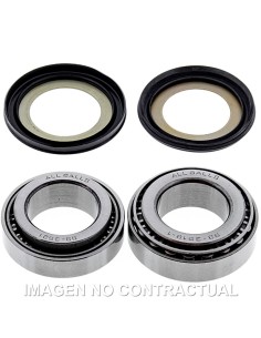 KIT DE RODAMIENTOS Y RETENES COLUMNA DE DIRECCION ALL BALLS