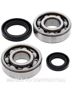 KIT DE RODAMIENTOS CIGUEñAL ALL BALLS 24-1003