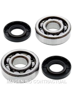 KIT DE RODAMIENTOS CIGUEñAL ALL BALLS 24-1006