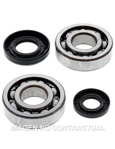 KIT DE RODAMIENTOS CIGUEñAL ALL BALLS 24-1029