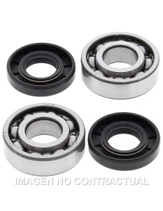 KIT DE RODAMIENTOS CIGUEñAL ALL BALLS 24-1100