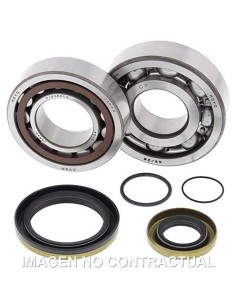 KIT DE RODAMIENTOS CIGUEñAL ALL BALLS 24-1115