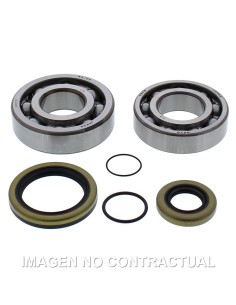 KIT DE RODAMIENTOS CIGUEñAL ALL BALLS 24-1118