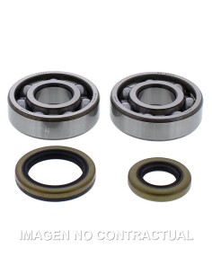 KIT DE RODAMIENTOS CIGUEñAL ALL BALLS 24-1119