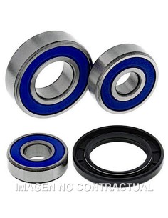 KIT DE RODAMIENTOS RUEDA ALL BALLS 25-1608
