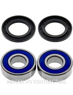 KIT DE RODAMIENTOS RUEDA ALL BALLS 25-1659
