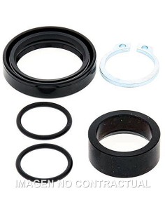 KIT DE REVISION PIñON DE SALIDA ALL BALLS 25-4007