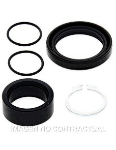 KIT DE REVISION PIñON DE SALIDA ALL BALLS 25-4012