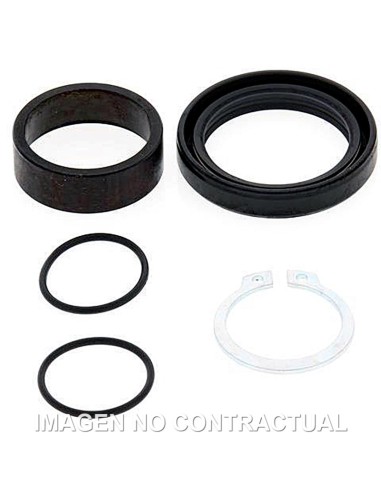 KIT DE REVISION PIñON DE SALIDA ALL BALLS 25-4015