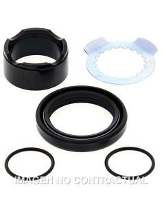 KIT DE REVISION PIñON DE SALIDA ALL BALLS 25-4020