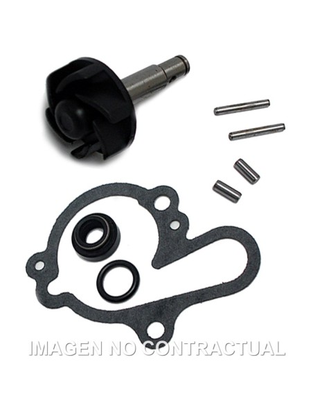 KIT REPARACION BOMBA DE AGUA MINARELLI AM6