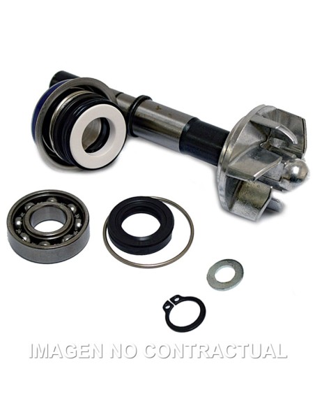 KIT REPARACION BOMBA DE AGUA DAELIM S3