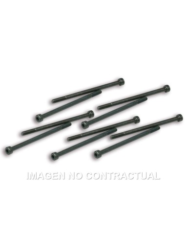 TORNILLOS FIJACION PINZAS VARIADOR MALOSSI COMPETICION