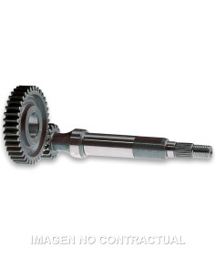 DESARROLLO PRIMARIO PIAGGIO SFERA 50