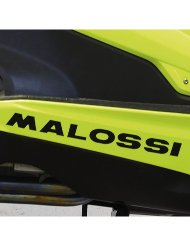 ADHESIVO MALOSSI LEON NEGRO