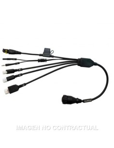 Cable diagnosis Texa 3151/AP59 Yamaha