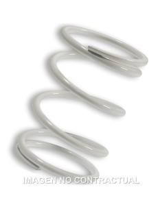 MUELLE POLEA CONDUCIDA BLANCO FORESIGHT 250