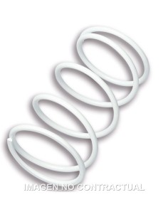 MUELLE DE POLEA CONDUCIDA GILERA RUNNER VXR 180