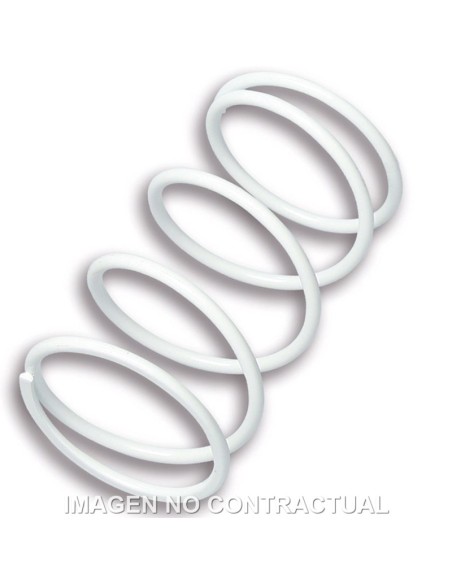 MUELLE DE POLEA CONDUCIDA GILERA RUNNER VXR 180