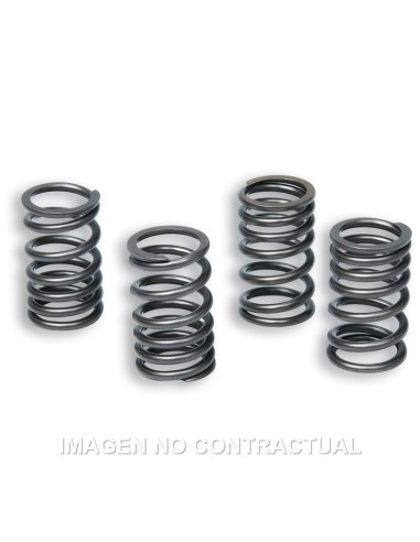 MUELLES PARA EMBRAGUE ORIGINAL MOTOR AM6 TZR 50