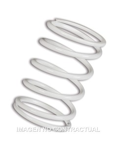 MUELLE POLEA CONDUCIDA BLANCO  BMW C 600