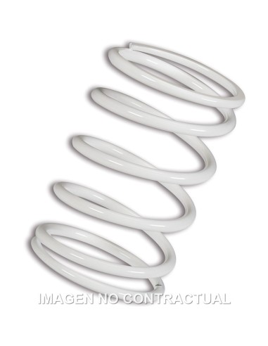 MUELLE POLEA CONDUCIDA BLANCO  BMW C 600