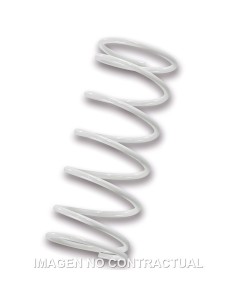 MUELLE POLEA CONDUCIDA MALOSSI BLANCO PIAGGIO