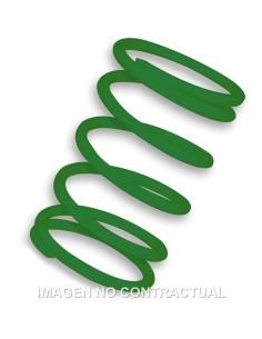 MUELLE POLEA CONDUCIDA VERDE PIAGGIO TYPHOON,FREE