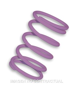 MUELLE POLEA CONDUCIDA VIOLETA PIAGGIO TYPHOON