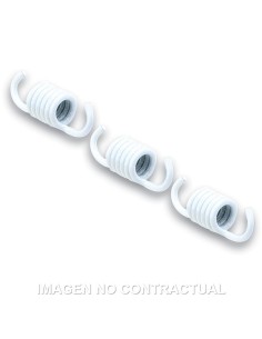 MUELLES EMBRAGUE MALOSSI BLANCOS ( JUEGO DE 3)