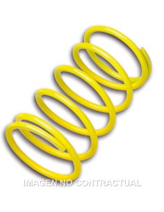 MUELLE POLEA CONDUCIDA AMARILLO LEONARDO 250