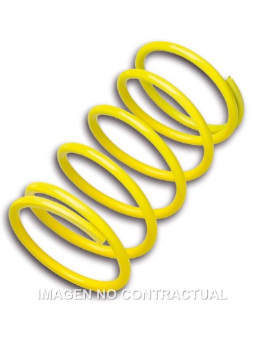 MUELLE POLEA CONDUCIDA AMARILLO LEONARDO 250