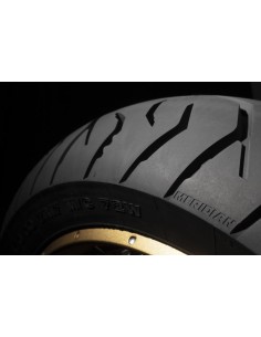 110/80R19 TRX MERIDIAN 59 V TL FRONT