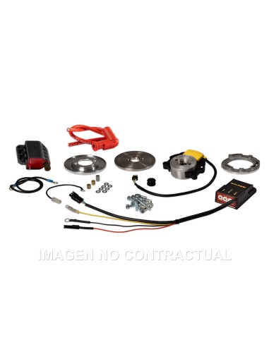 ENCENDIDO ROTOR INTERNO MALOSSI MHR TEAM II PIAGGIO