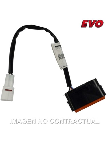 MODULO DE PROGRAMACION RAPID BIKE EVO
