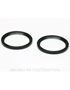 JUEGO RETENES ACEITE MALOSSI 48X41X4