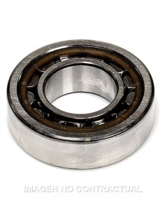 COJINETE DE CIGUEñAL MALOSSI 25X25X15 C3